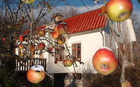 Mellangården i Äpplerum